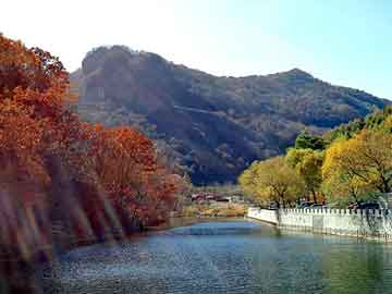 奥门天天开奖免费资料，山野诡事